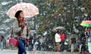 Shimla Tour Package
