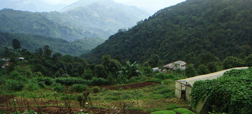 North-east Tour Package