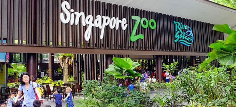 Singapore trip package for couple