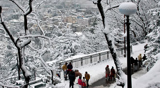 Shimla holiday Package
